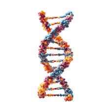 Biology & Models