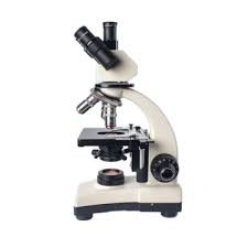 Microscopes & Optics