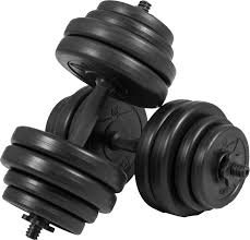 Fitness Gear